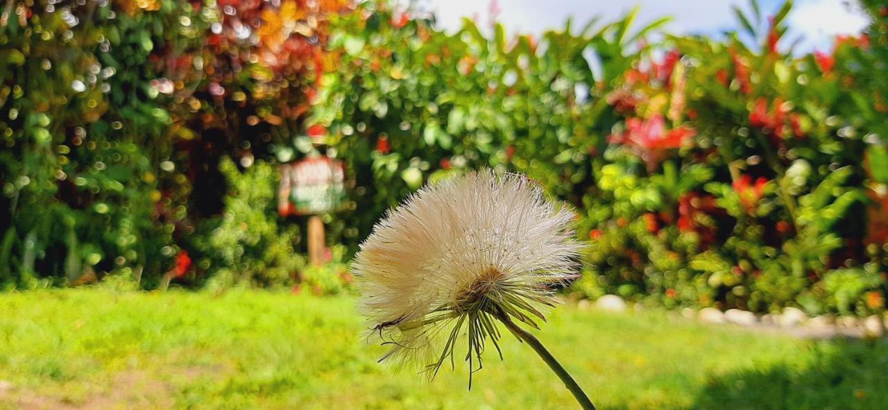 ビハグア Jardin Entre Montanas Bed & Breakfast エクステリア 写真